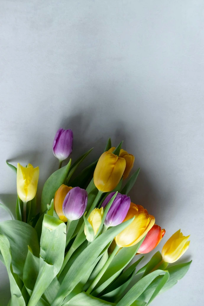 a bouquet of colorful tulips sitting on a table